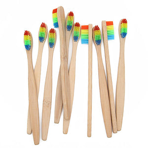 10 Rainbow Eco-Friendly Giving Brushes Cart