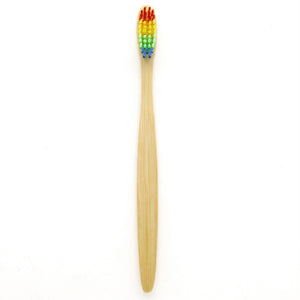 10 Rainbow Eco-Friendly Giving Brushes Cart