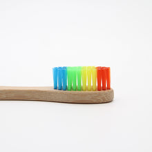 FREE Rainbow Themed Eco-Friendly Giving Brush
